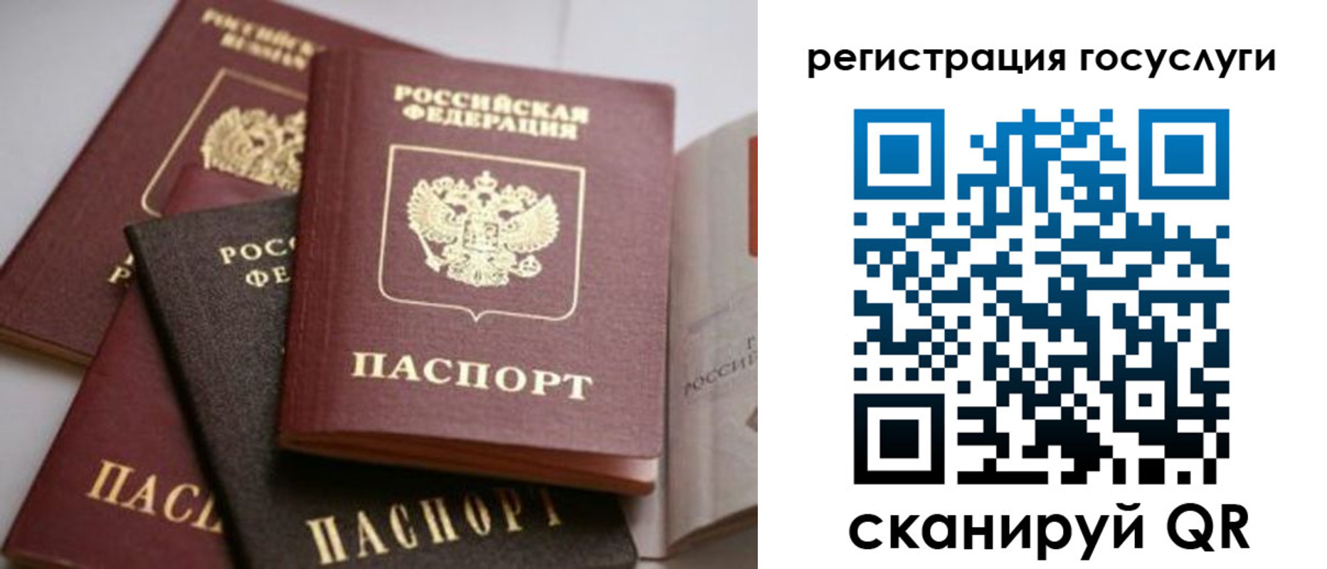 пропишу в квартире в Биробиджане